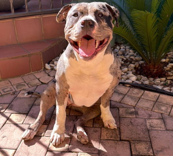 Kali