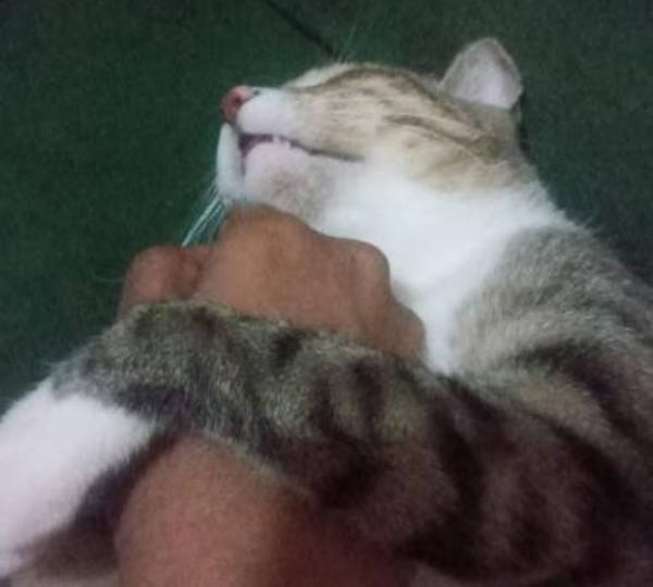 Snuggles