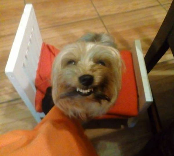 Gruffy