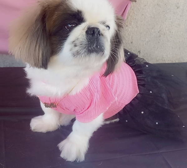 Bella