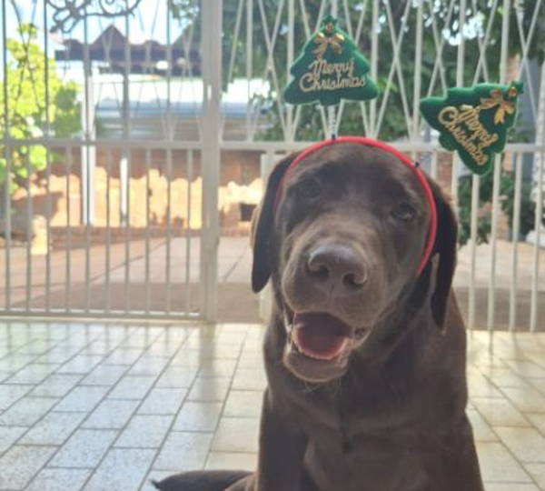 Milo