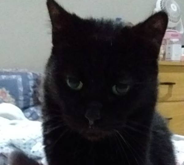 Bella