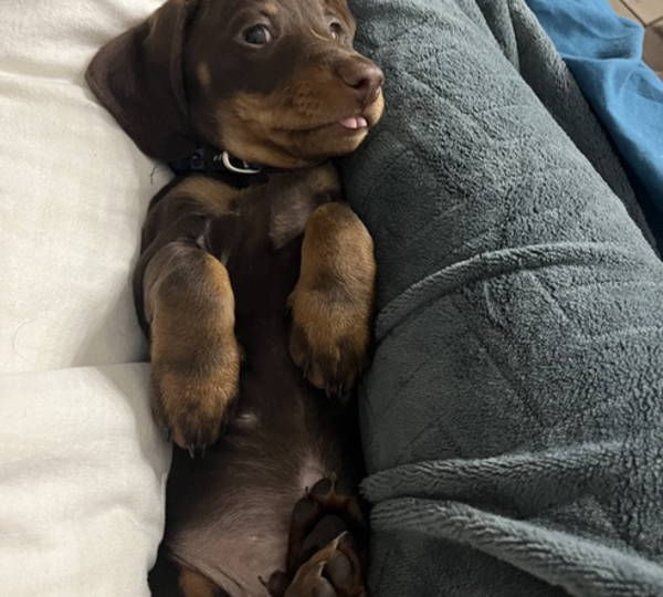 Astro