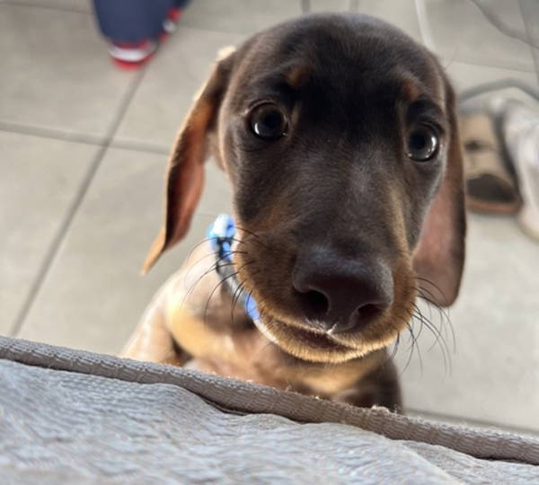 Astro