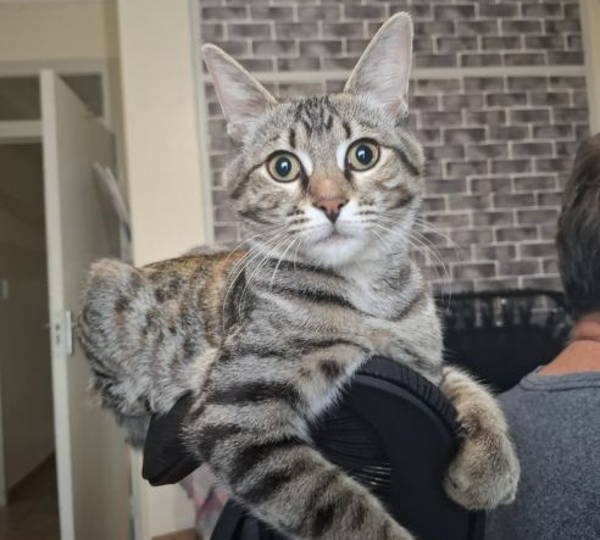 Luna