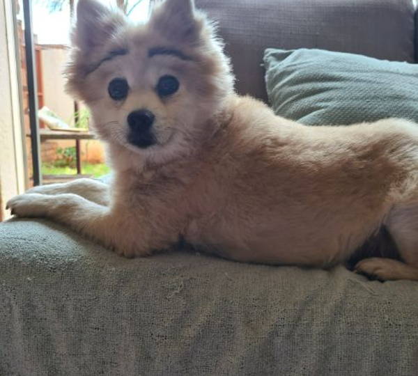 Coco