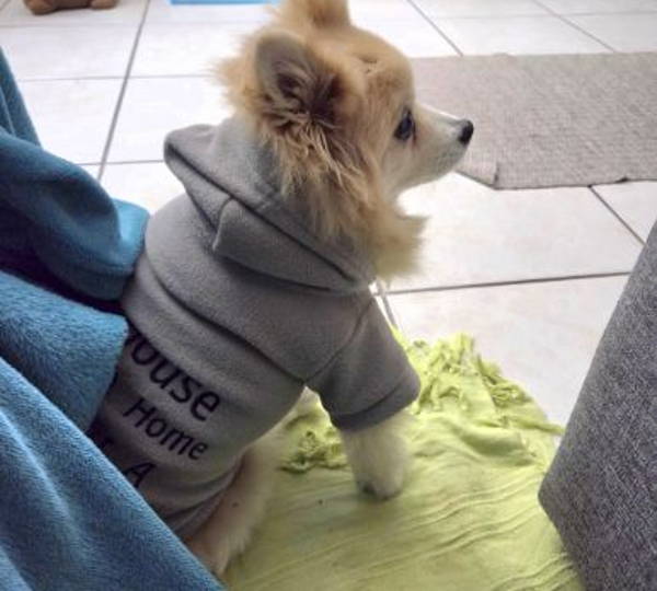Coco