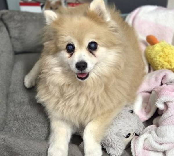 Coco