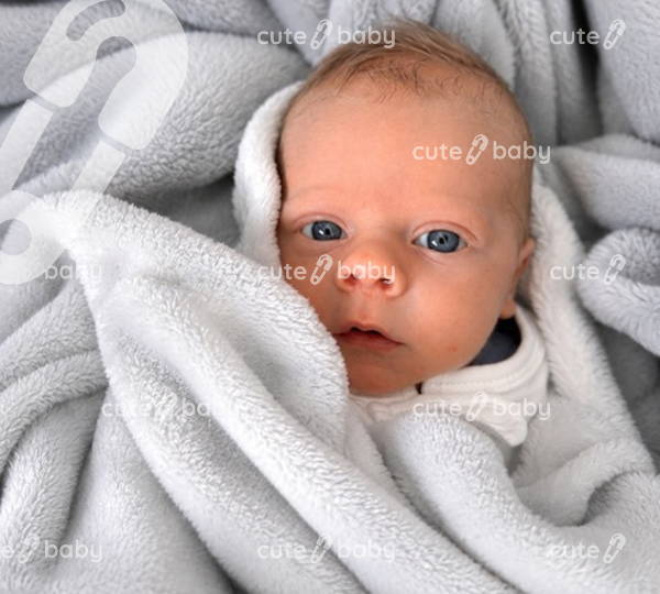Lucas