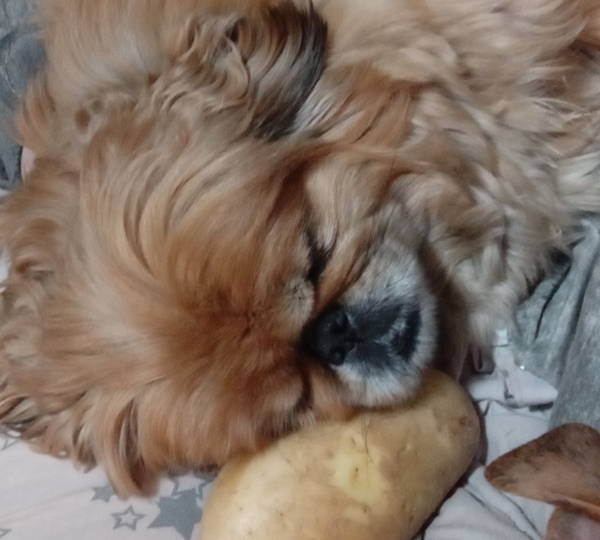 Baba