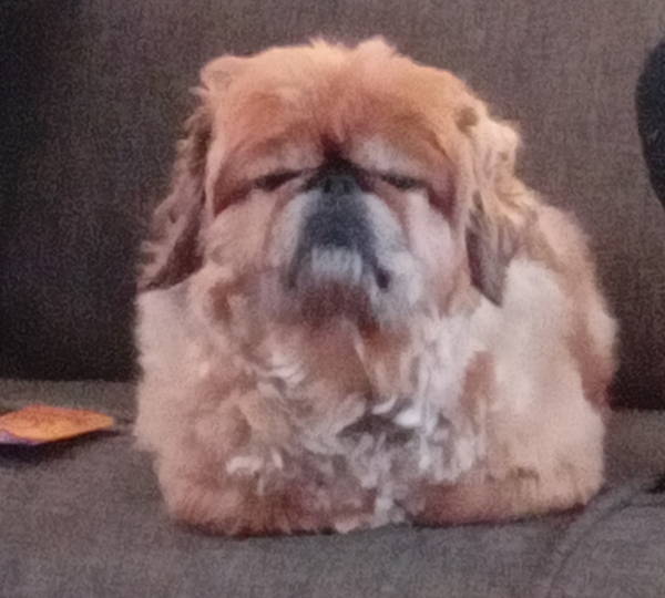 Baba