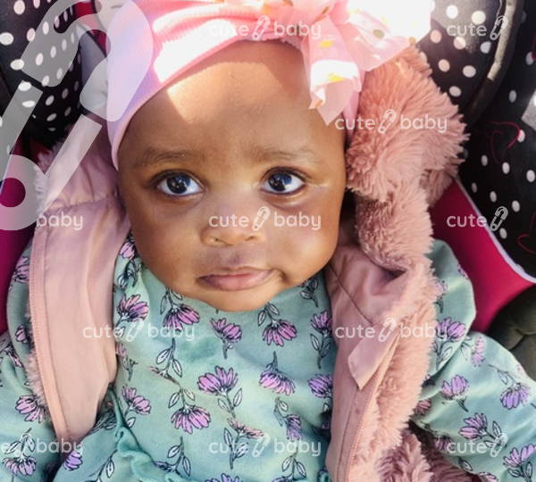Luhlelo