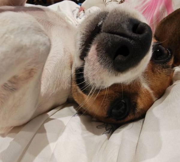 Ellie