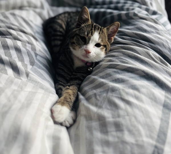 Luna