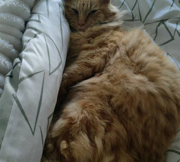 Fluffy