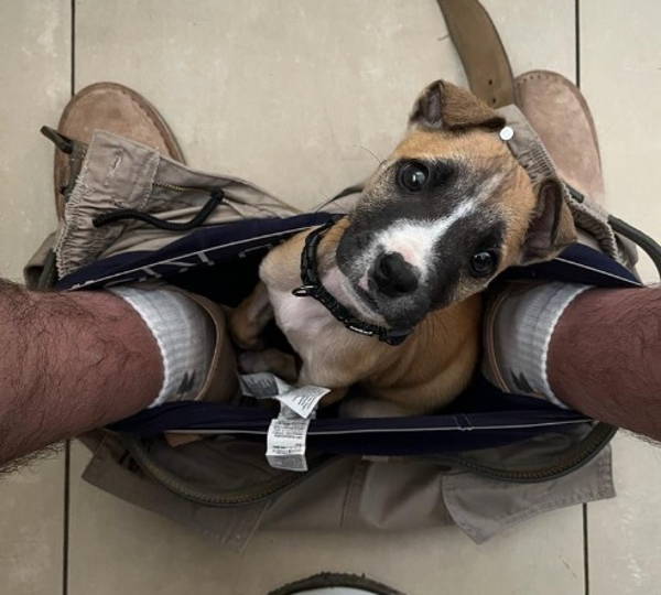 Duke