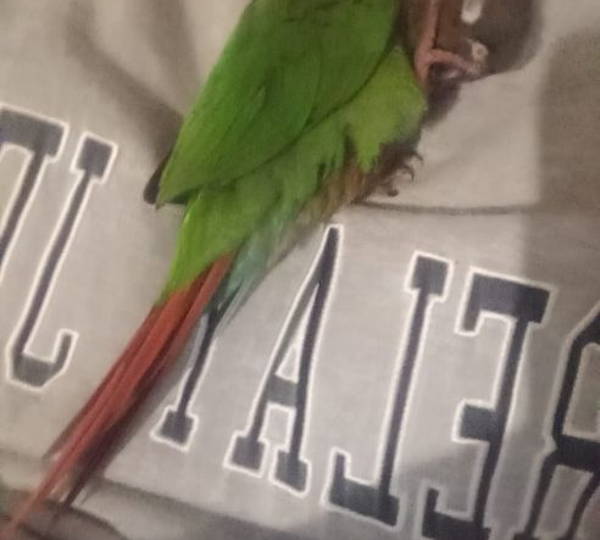 Rio
