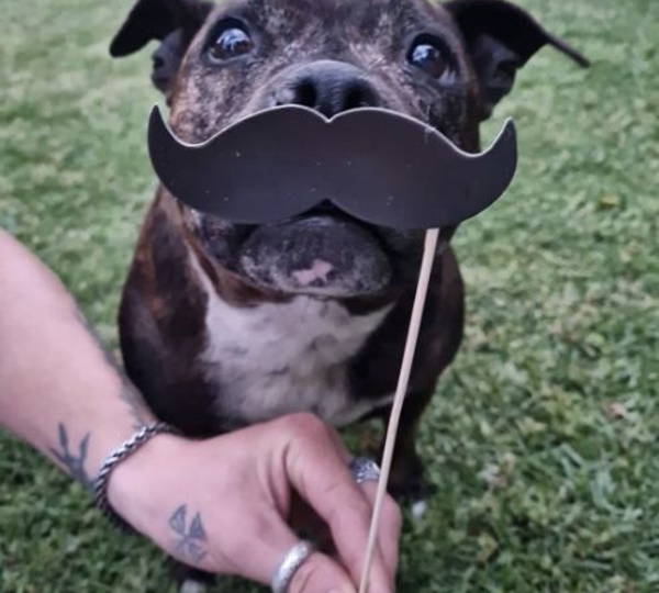 Astro