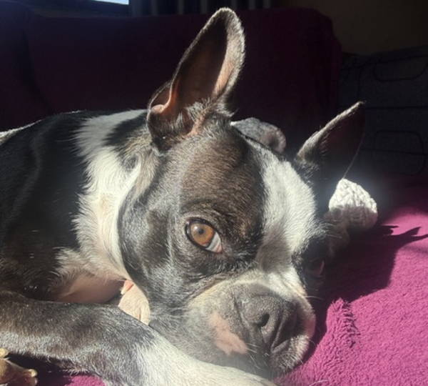 Molly