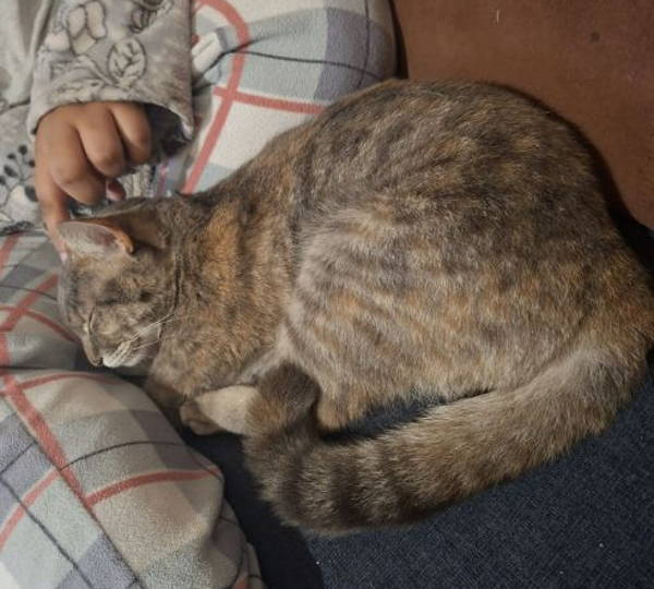 Luna