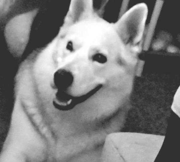 Zeus
