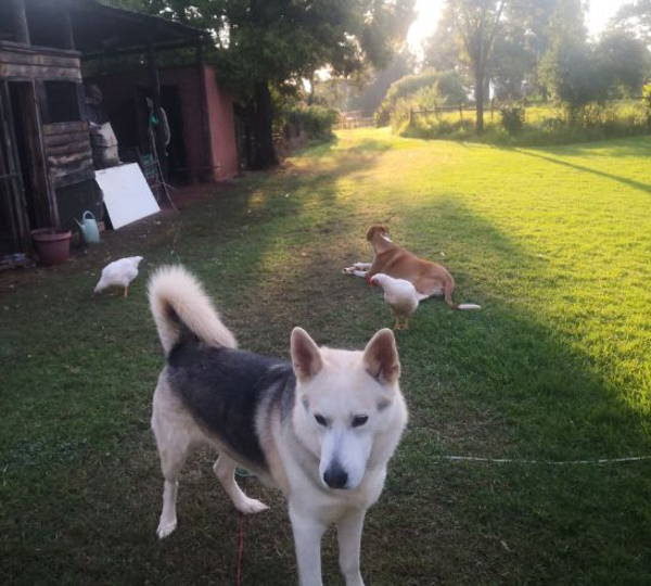 Zeus