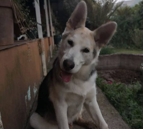 Zeus