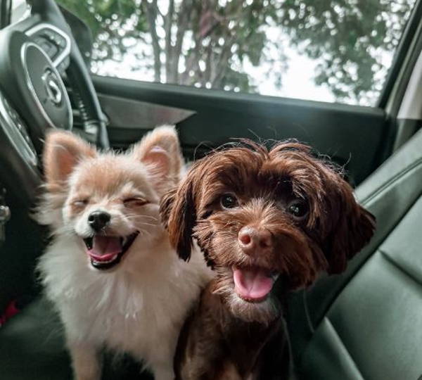 Molly & Milo