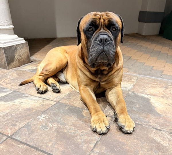 Carlos