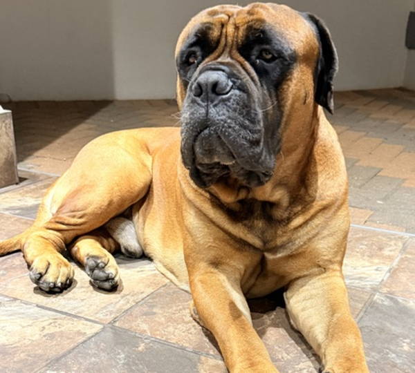Carlos
