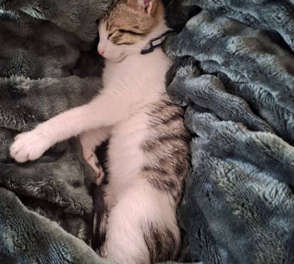 Oliver
