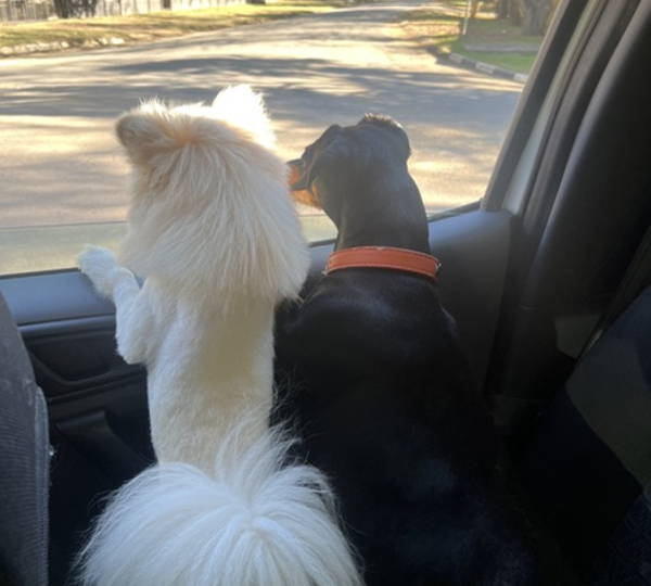 Bellie & Maddy