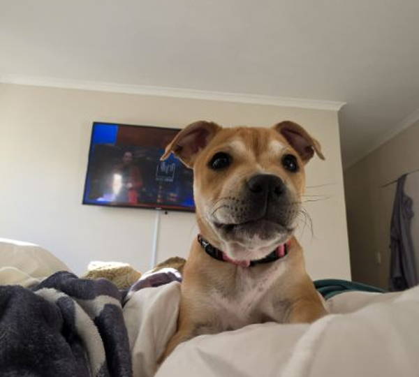 Lulu