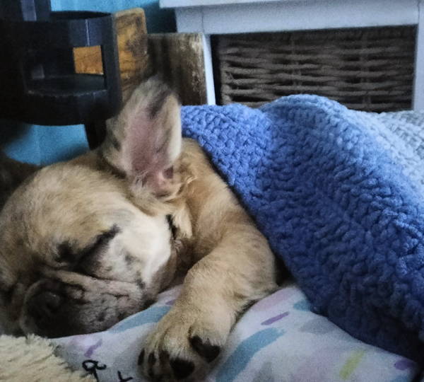 Luna