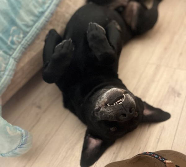 Cooper