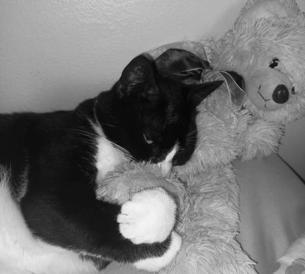 Mittens