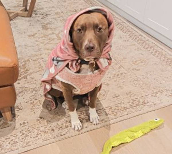 Nala