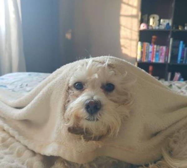 Ella