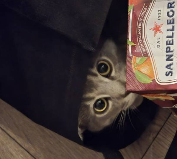 Pepper