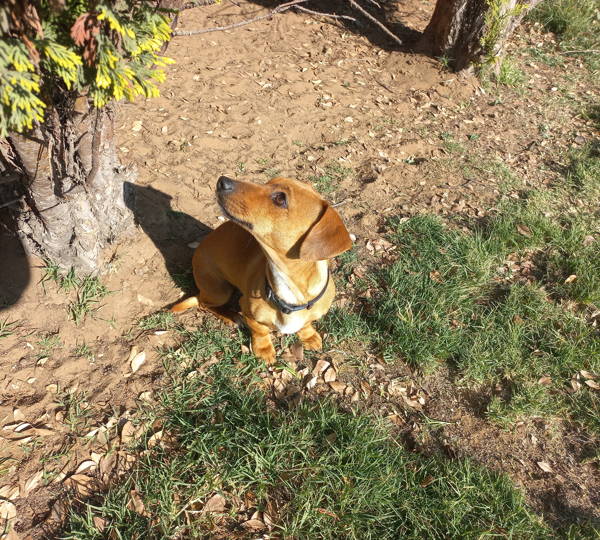 Chloe