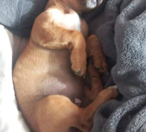 Chloe