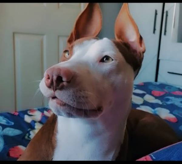 Lola