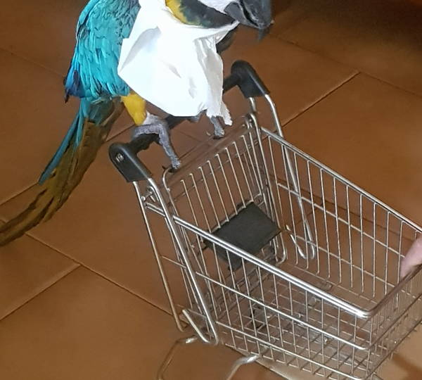 Twala