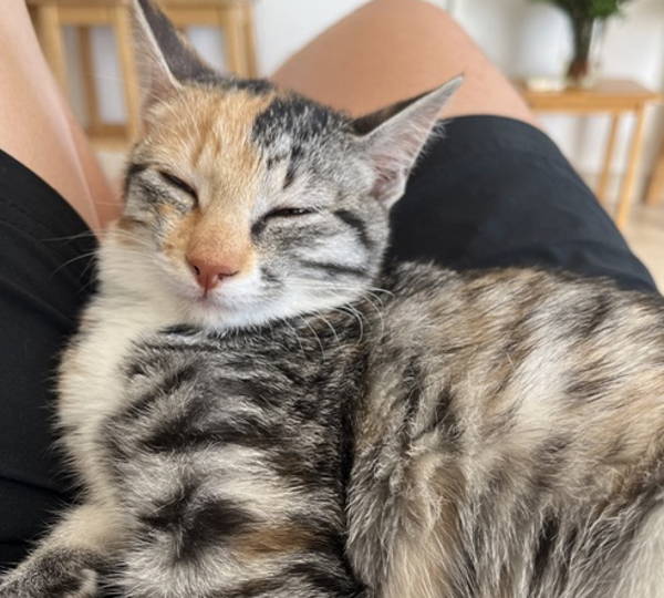 Marley