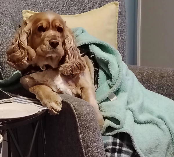 Bella