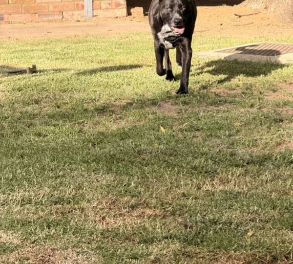 Zeus