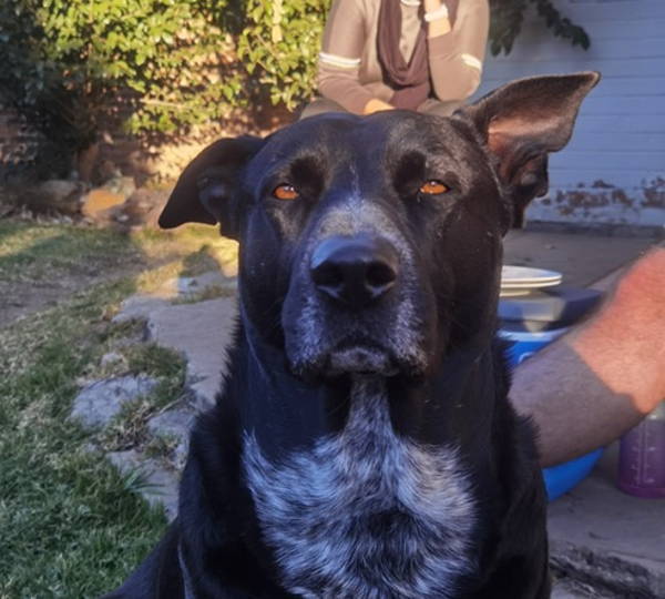 Zeus