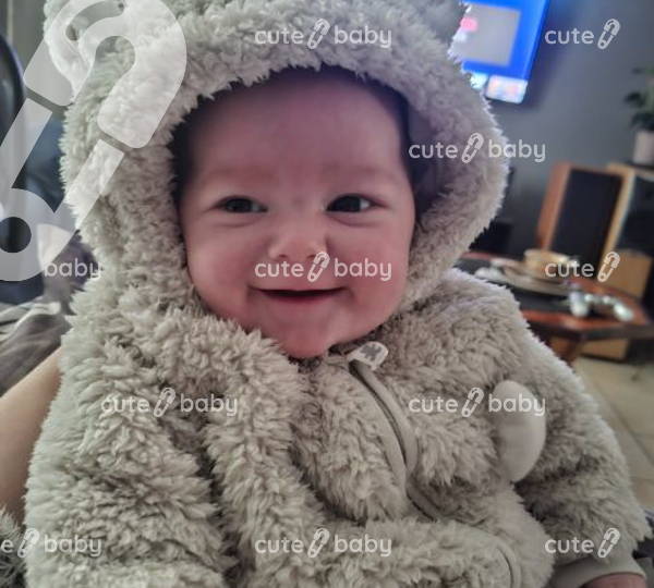 Lily-Lee