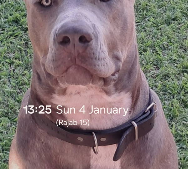 Knox