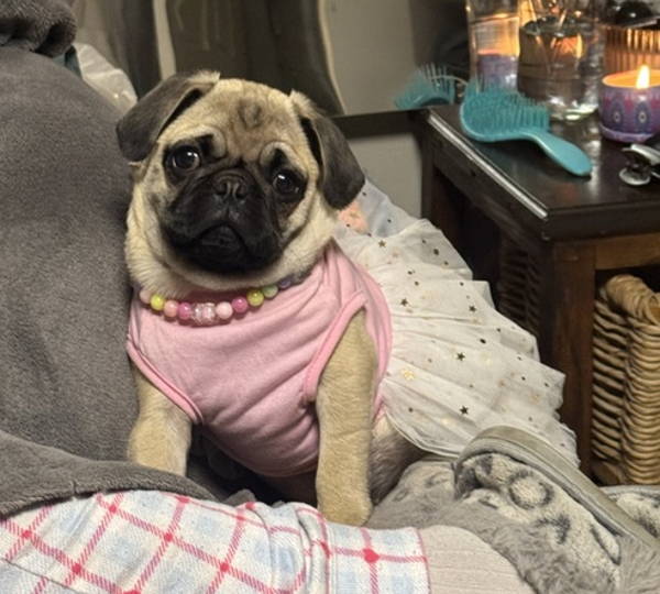Coco-Chanel